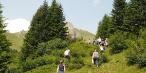 Beitragsbild des Blogbeitrags Großarltal: Kuhmilch, Kräuter, Kindheitserinnerungen*
