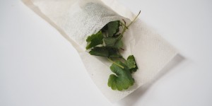 Beitragsbild des Blogbeitrags Gundelrebe zum Körper Durchputzen