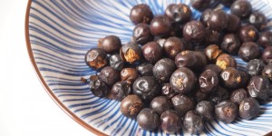 Beitragsbild des Blogbeitrags Wacholder: Im Essen, im Gin und zum Räuchern