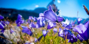 Beitragsbild des Blogbeitrags Gjaidalm: Aussteigen? Aufsteigen!