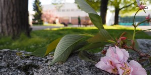 Beitragsbild des Blogbeitrags Blogger: Gemeinsam statt einsam