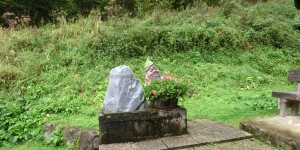 Beitragsbild des Blogbeitrags Nationalpark Kalkalpen