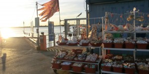 Beitragsbild des Blogbeitrags Karneval in Venedig 2017
