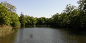 Beitragsbild des Blogbeitrags Lainzer Tiergarten