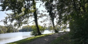 Beitragsbild des Blogbeitrags Laxenburg 2018