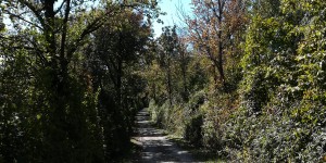 Beitragsbild des Blogbeitrags Ortsspaziergänge
