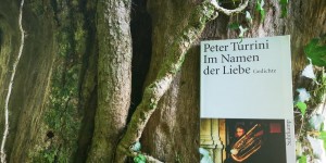 Beitragsbild des Blogbeitrags [Kurzrezension] Im Namen der Liebe von Peter Turrini 