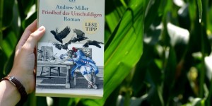 Beitragsbild des Blogbeitrags [Rezension] Friedhof der Unschuldigen von Andrew Miller 