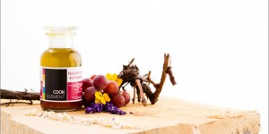 Beitragsbild des Blogbeitrags Food Photography | Cook Element
