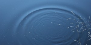 Beitragsbild des Blogbeitrags heim_weh
