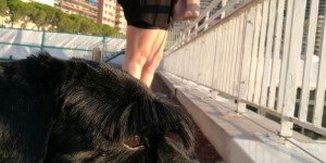 Beitragsbild des Blogbeitrags Bonjour Monaco! Bonjour Cannes!