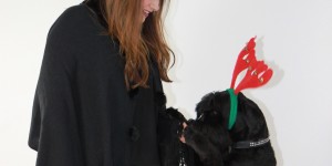 Beitragsbild des Blogbeitrags Adventskalender