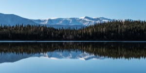 Beitragsbild des Blogbeitrags Alaskas Osten 