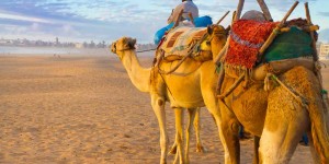 Beitragsbild des Blogbeitrags Traum von 1001 Nacht: 4 Tage im luxuriösen 5*-Hotel plus Frühstück, Flüge und Wellness schon ab 219€ 