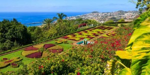 Beitragsbild des Blogbeitrags Sonne tanken im Januar: 7 Tage Madeira im herausragenden 4*-Hotel (94%) plus Frühstück, Flüge, Transfer und Weinprobe schon ab 399€ 