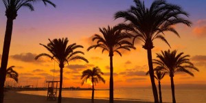 Beitragsbild des Blogbeitrags Mallorca im Mai: 14 Tage im hervorragenden 4*-Hotel inkl. Rail & Fly sowie Transfer schon ab 389€ 
