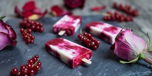 Beitragsbild des Blogbeitrags Johannisbeer Joghurt Popsicles