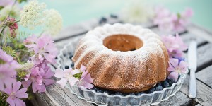 Beitragsbild des Blogbeitrags Beeren Joghurt Gugelhupf