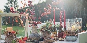 Beitragsbild des Blogbeitrags Bunter Herbsttisch