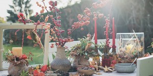 Beitragsbild des Blogbeitrags Bunter Herbsttisch 