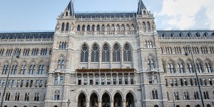 Beitragsbild des Blogbeitrags Lunch im Rathauskeller Wien