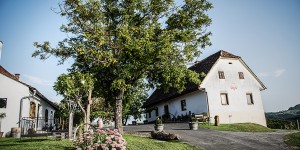 Beitragsbild des Blogbeitrags Südsteirische Weinstraße: ein perfektes Herbstwochenende
