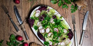 Beitragsbild des Blogbeitrags Bunter Salat mit Radieschendressing