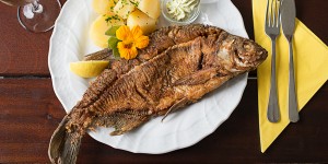Beitragsbild des Blogbeitrags Donauregion: kulinarisch entdeckt!