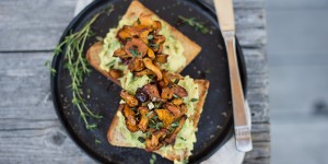 Beitragsbild des Blogbeitrags Dinkel Toast mit Avocado & gerösteten Eierschwammerln