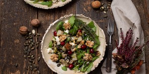 Beitragsbild des Blogbeitrags Wintersalat mit Kürbiskernöl