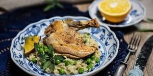 Beitragsbild des Blogbeitrags Perlhuhnbrust mit Riesling Risotto