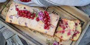 Beitragsbild des Blogbeitrags Ribisel Kuchen 