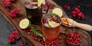Beitragsbild des Blogbeitrags Preiselbeere Moscow Mule