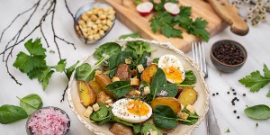 Beitragsbild des Blogbeitrags Frühlings-Kartoffelsalat mit Radieschen-Dressing