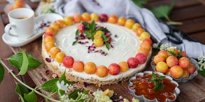 Beitragsbild des Blogbeitrags Cheesecake ohne Backen mit Mirabellen Gelee