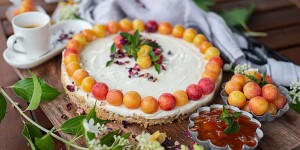 Beitragsbild des Blogbeitrags Cheesecake ohne Backen mit Mirabellen Gelee 