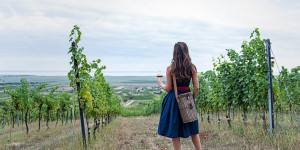 Beitragsbild des Blogbeitrags Der Wein & das Burgenland: eine wunderbare Symbiose. Burgenländischer Wein.