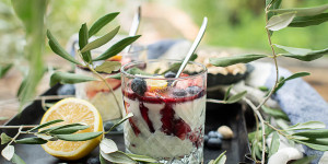 Beitragsbild des Blogbeitrags Panna Cotta mit Heidelbeeren