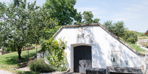 Beitragsbild des Blogbeitrags Auf Weinreise – das Carnuntum & die Thermenregion