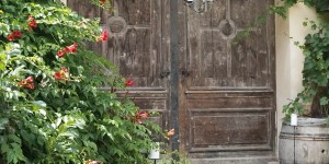 Beitragsbild des Blogbeitrags (Deutsch) Unsere kleine Oase mitten in der Stadt