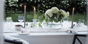 Beitragsbild des Blogbeitrags Sommerabende im Garten