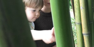 Beitragsbild des Blogbeitrags (Deutsch) Unser Ausflug in den Botanischen Garten