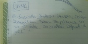 Beitragsbild des Blogbeitrags 01/2016: JANA