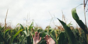 Beitragsbild des Blogbeitrags 5 einfache Schritte, um sofort nachhaltiger zu leben (und dabei Geld zu sparen)