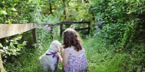 Beitragsbild des Blogbeitrags Trauer bei Kindern: 15 Bücher zu den Themen Tod und Verlust (geeignet für Kinder ab 3 Jahren)