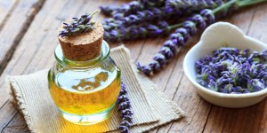Beitragsbild des Blogbeitrags Aromatherapie: Ätherische Öle und ihre Wirkung (mit Rezept für Schutzöl und Entspannungsbad)