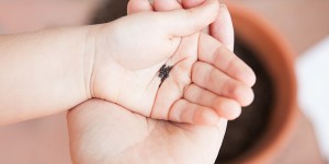 Beitragsbild des Blogbeitrags 4 Impulse fürs Urban Gardening mit Kindern: Wie wir Kinder ans Gärtnern heranführen und ihre Begeisterung für Artenvielfalt wecken