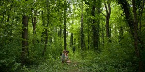 Beitragsbild des Blogbeitrags Tankstelle Natur: Warum unsere Kinder den Kontakt zur Natur unbedingt bewahren müssen und wie wir zurückgewinnen, was wir verloren haben (mit Achtsamkeitsübungen)