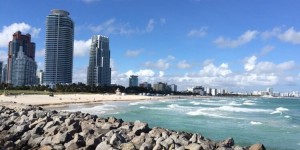 Beitragsbild des Blogbeitrags Im Ausland leben mit Kindern: Joana über Sonne, Schatten und Kunst in Miami im „Sunshine State“ Florida