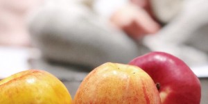 Beitragsbild des Blogbeitrags Artenvielfalt ist Leben: 5 Gründe, warum Vielfalt überlebenswichtig ist und 5 Wege, sie zu fördern